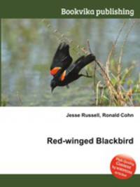Red-winged Blackbird