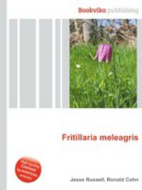 Fritillaria meleagris
