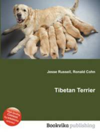 Tibetan Terrier