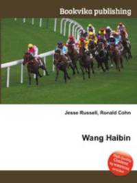 Wang Haibin