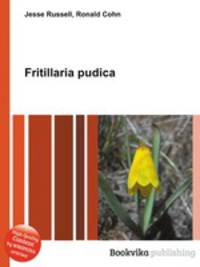 Fritillaria pudica