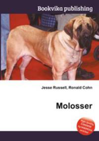 Molosser