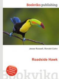 Roadside Hawk