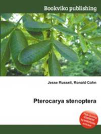 Pterocarya stenoptera