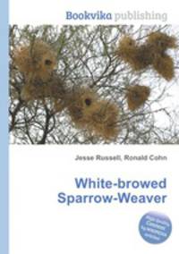 White-browed Sparrow-Weaver