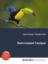 Red-rumped Cacique