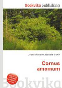Cornus amomum