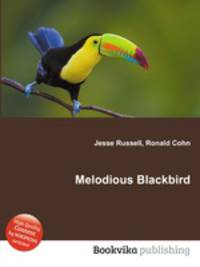 Melodious Blackbird