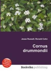 Cornus drummondii