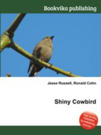 Shiny Cowbird