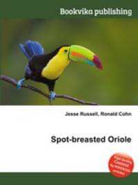 Spot-breasted Oriole