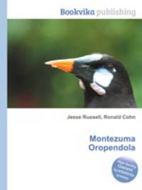 Montezuma Oropendola