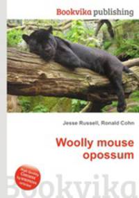 Woolly mouse opossum