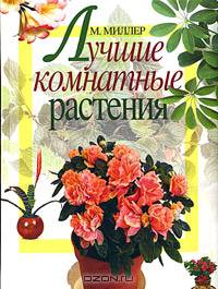 Лучшие комнатные растения