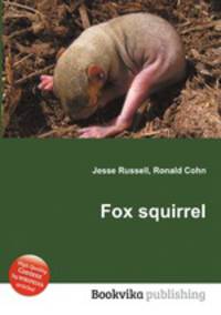 Fox squirrel