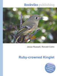 Ruby-crowned Kinglet