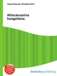 Allocasuarina huegeliana