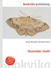 Geometer moth