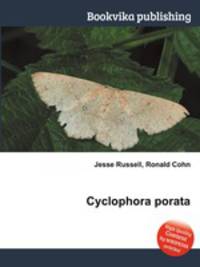 Cyclophora porata