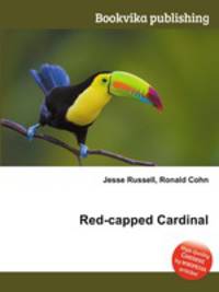 Red-capped Cardinal