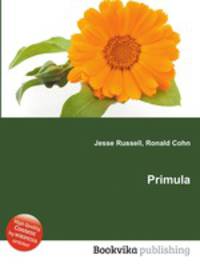 Primula