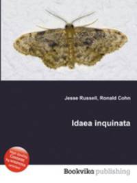 Idaea inquinata