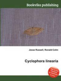 Cyclophora linearia