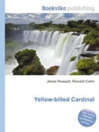 Yellow-billed Cardinal