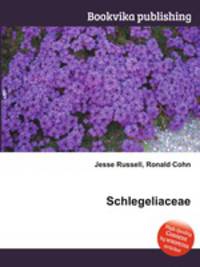 Schlegeliaceae