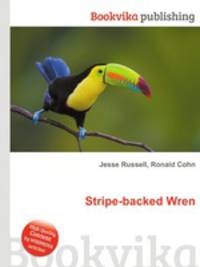 Stripe-backed Wren