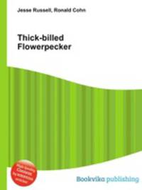 Thick-billed Flowerpecker