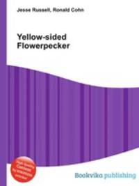 Yellow-sided Flowerpecker