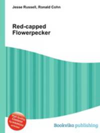 Red-capped Flowerpecker