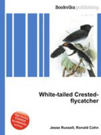 White-tailed Crested-flycatcher