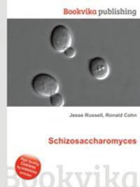 Schizosaccharomyces
