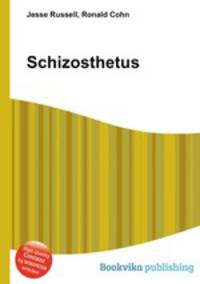 Schizosthetus
