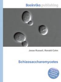 Schizosaccharomycetes