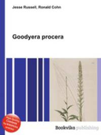 Goodyera procera
