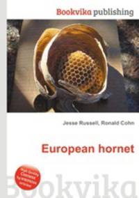 European hornet