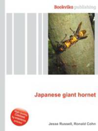 Japanese giant hornet