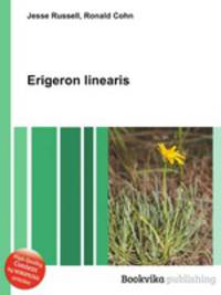 Erigeron linearis