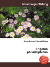 Erigeron philadelphicus