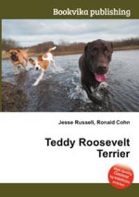 Teddy Roosevelt Terrier