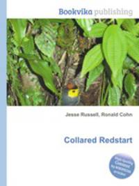 Collared Redstart