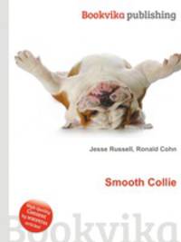 Smooth Collie