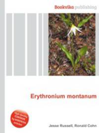 Erythronium montanum