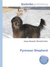 Pyrenean Shepherd