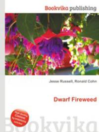 Dwarf Fireweed