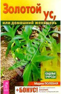 КладПрироды.Золотой ус,или домашний женьшень