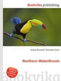 Northern Waterthrush